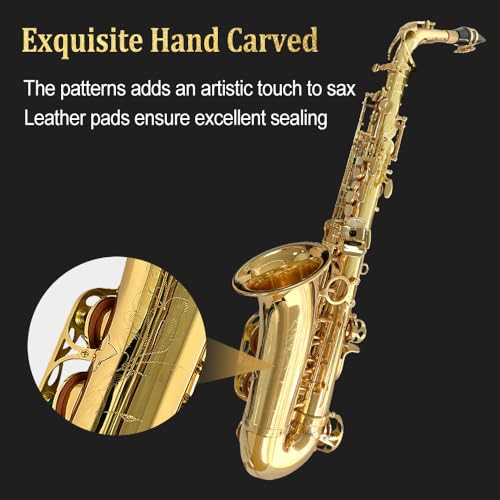 Alto Saxophone Beginner kit