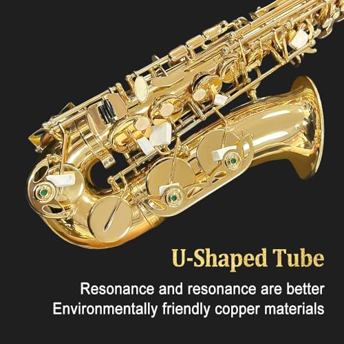 Alto Saxophone Beginner kit