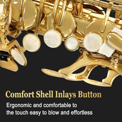 Alto Saxophone Beginner kit