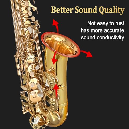 Alto Saxophone Beginner kit