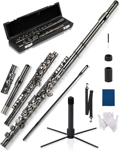 AKLOT Closed-Hole Concert C Flute: