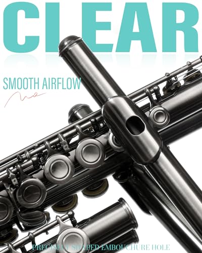 AKLOT Closed-Hole Concert C Flute: