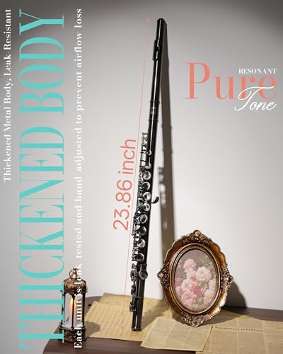 AKLOT Closed-Hole Concert C Flute: