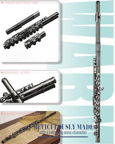 AKLOT Closed-Hole Concert C Flute: