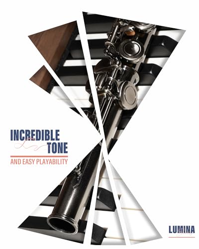 AKLOT Closed-Hole Concert C Flute: