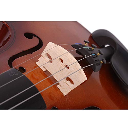 Ktaxon Violin for Beginners Students,Acoustic