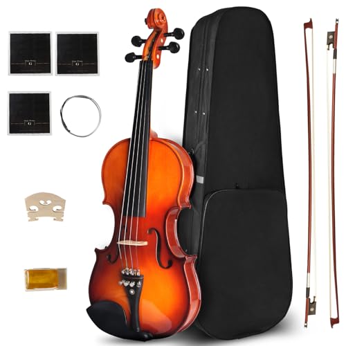 Violin For Beginners, Solidwood Ebony