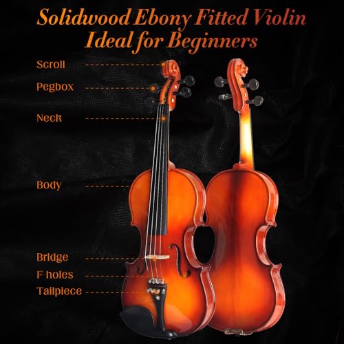 Violin For Beginners, Solidwood Ebony