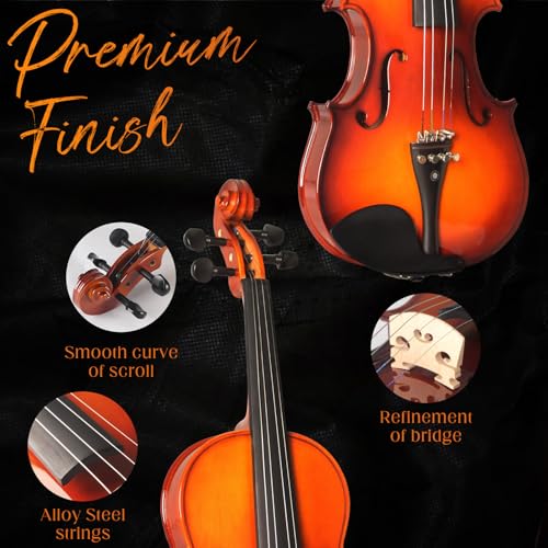 Violin For Beginners, Solidwood Ebony