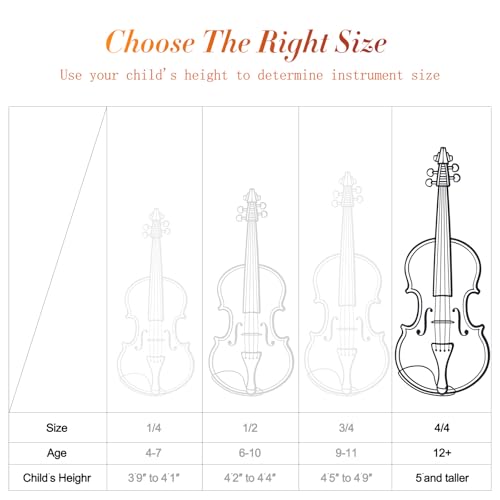 Violin For Beginners, Solidwood Ebony