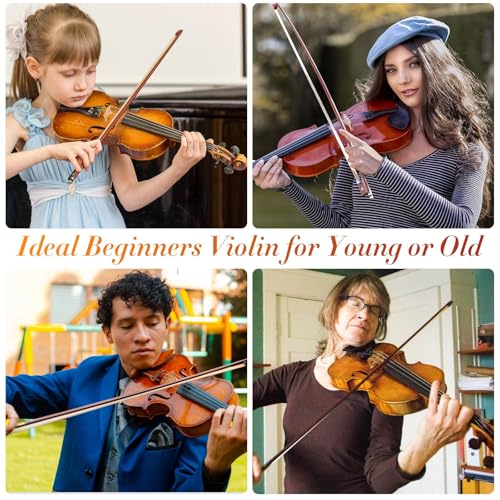 Violin For Beginners, Solidwood Ebony