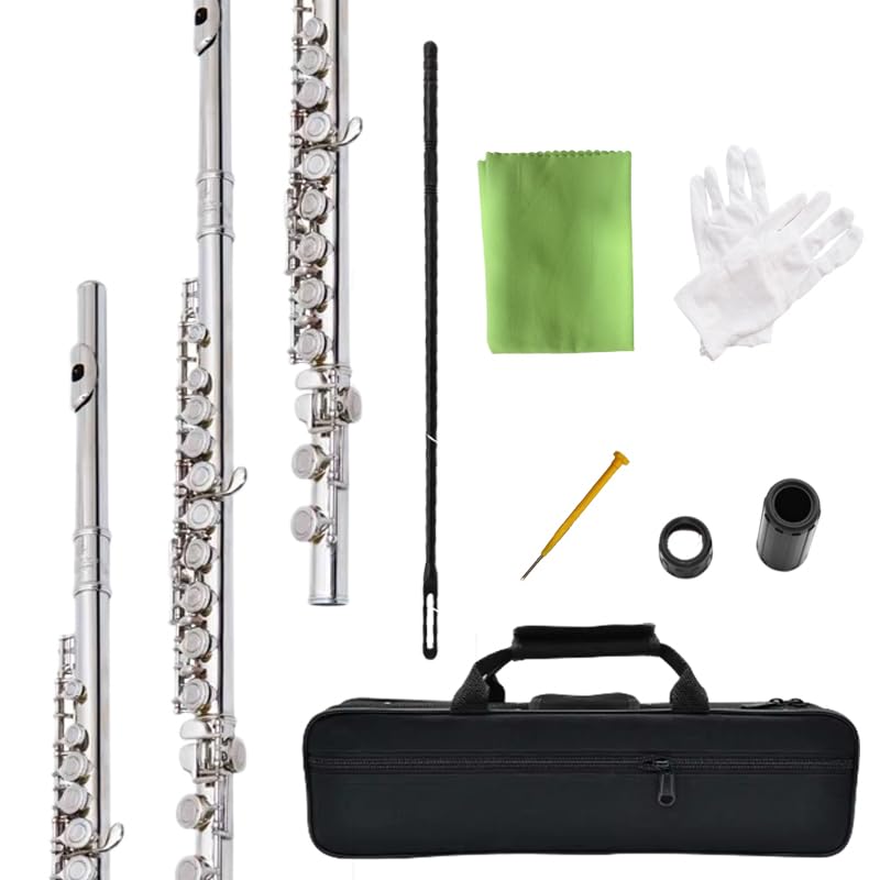 flute 16-hole closed-hole C-tone nickel-plated