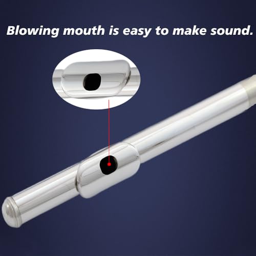 flute 16-hole closed-hole C-tone nickel-plated