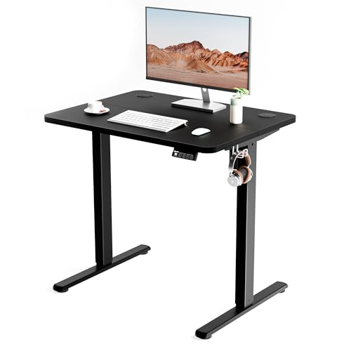 ERGOMAKER Electric Standing Desk 80x60cm