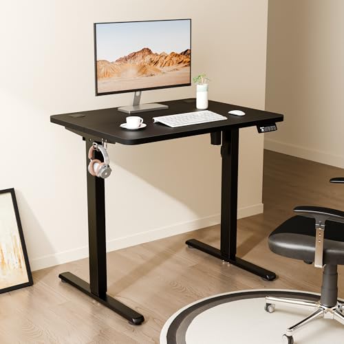 ERGOMAKER Electric Standing Desk 80x60cm