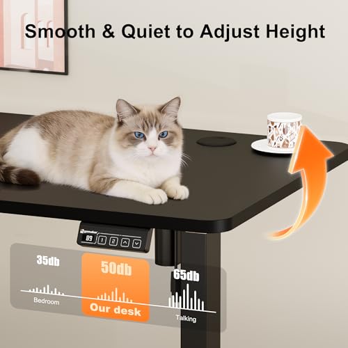 ERGOMAKER Electric Standing Desk 120x60cm