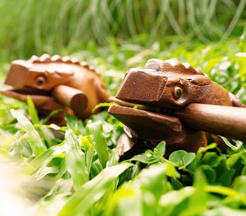 Wooden Frog Rasp Musical instruments