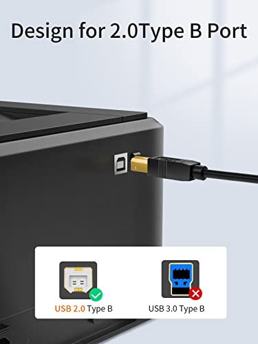 CableCreation USB C 6.6FT, USB
