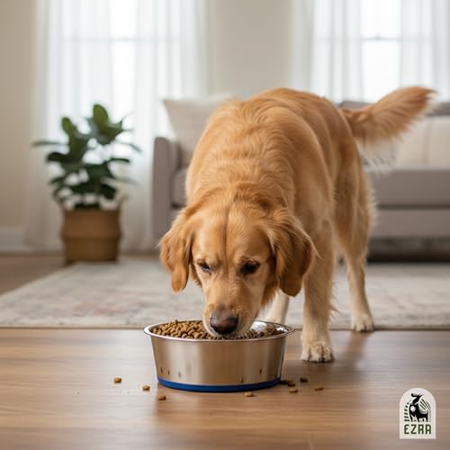 Ezra Classic Stainless Steel Dog