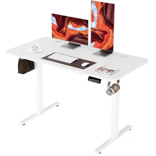 ERGOMAKER Electric Standing Desk 120x60cm
