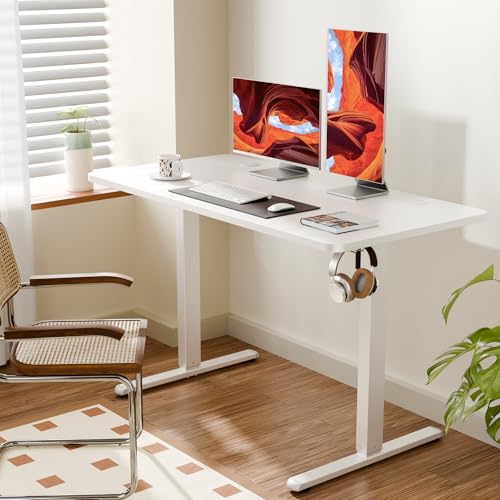 ERGOMAKER Electric Standing Desk 120x60cm