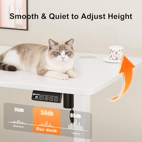 ERGOMAKER Electric Standing Desk 120x60cm