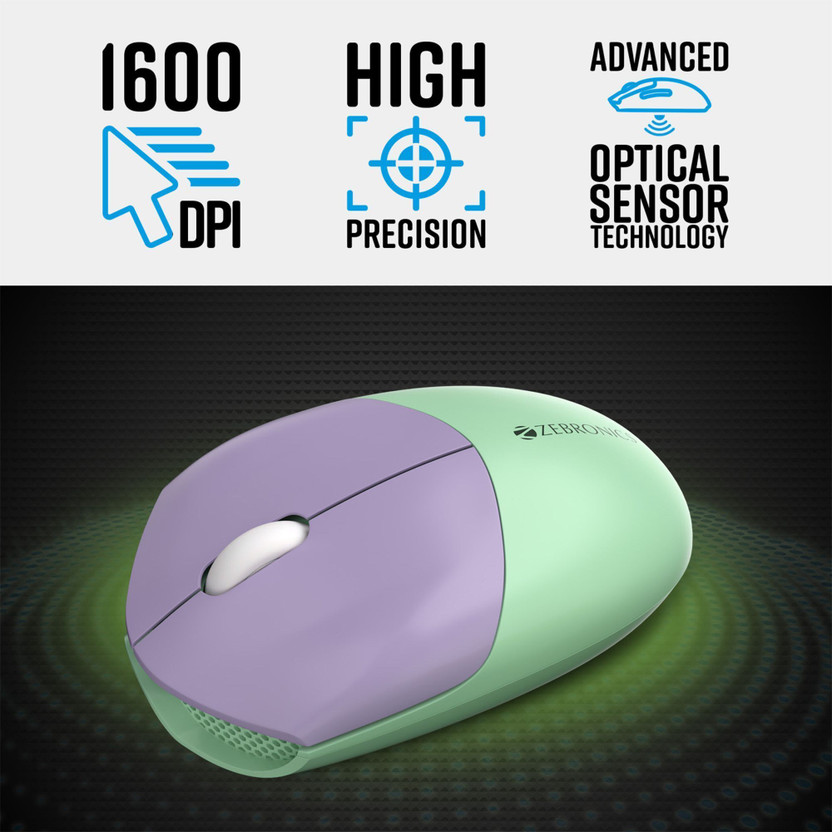 ZEBRONICS Zeb-Companion 301 Wireless Standard