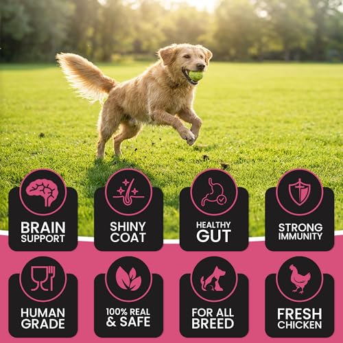 Dr. Pets Pack of 3
