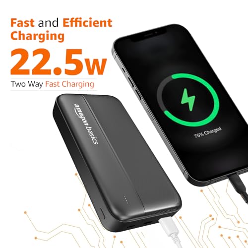 Amazon Basics 20000 mAh Power