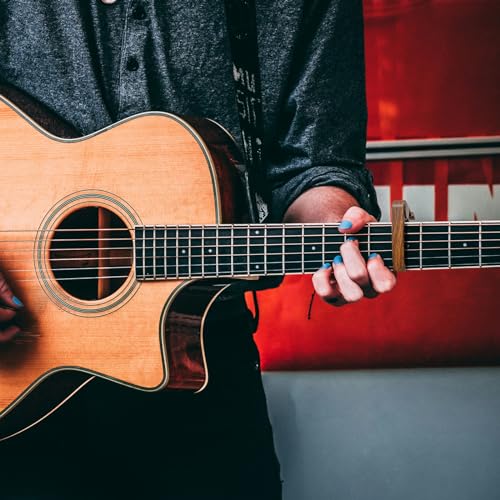 WINGO Guitar Capo for 6-String