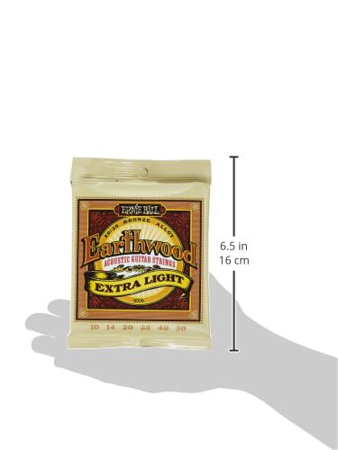 Ernie Ball 2006 Earthwood Extra