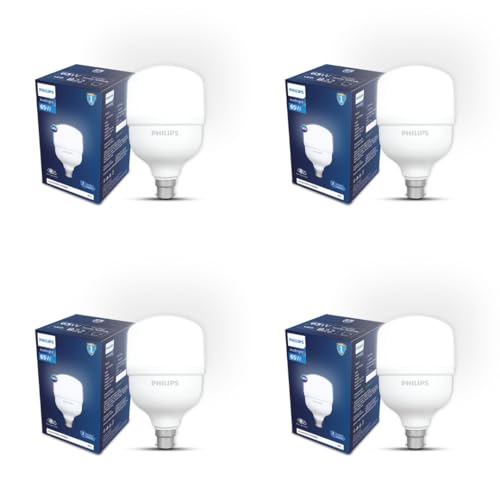 Philips AceBright 65W LED Bulb