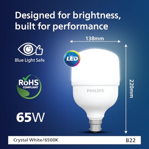 Philips AceBright 65W LED Bulb