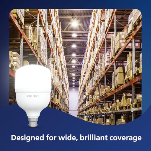Philips AceBright 65W LED Bulb