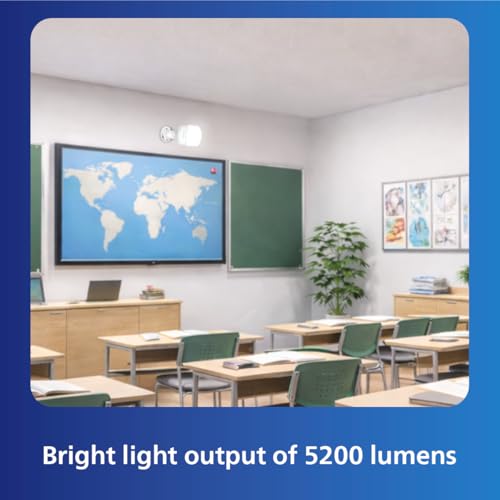 Philips AceBright 65W LED Bulb