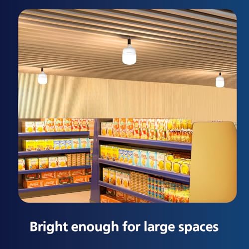 Philips AceBright 65W LED Bulb
