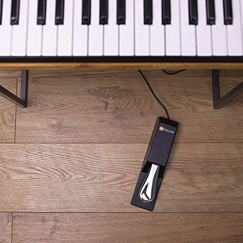 M-Audio SP-2 |Universal Sustain Pedal