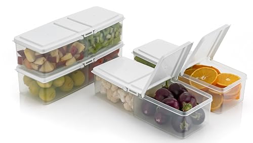 RILION airtight Big Container Set