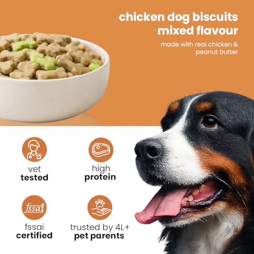 Nootie Chicken Dog Biscuits- Mixed