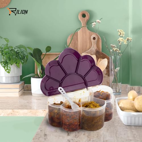 RILION Cloudy Multipurpose Masala Box