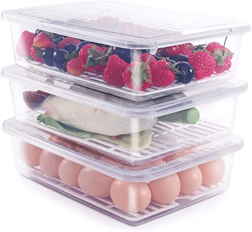 Rylan Plastic Fridge Storage Boxes