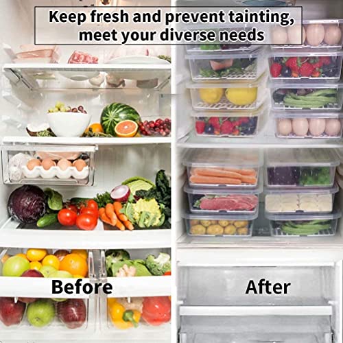 Rylan Plastic Fridge Storage Boxes