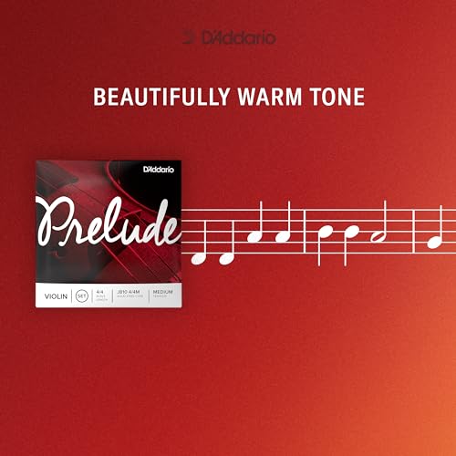 D'Addario J810 4/4M Prelude Violin