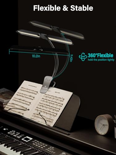 Vekkia 64 Led Rechargeable Music