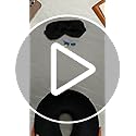 Amazon Basics Memory Foam Travel