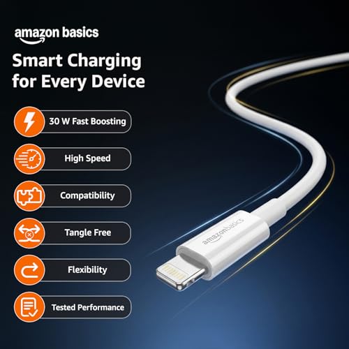 amazon basics TPE Type-C