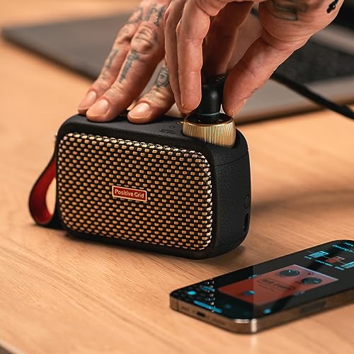 Positive Grid Spark GO 5W