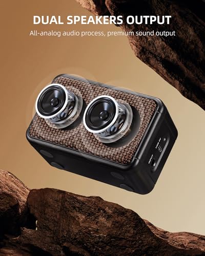 LEKATO Mini Guitar Amplifier, Dual