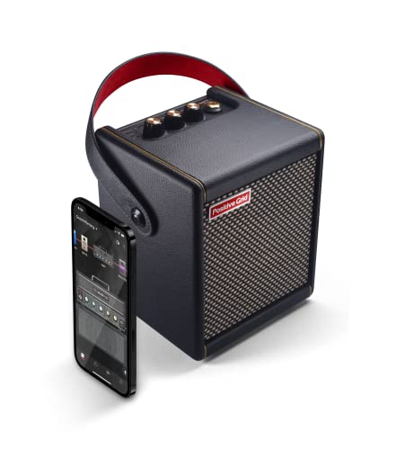 Positive Grid Spark MINI Portable