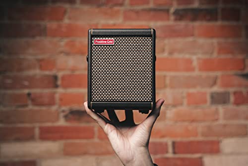 Positive Grid Spark MINI Portable